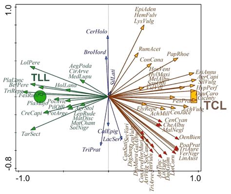 Relation between the identified plant taxa and different lawn ...