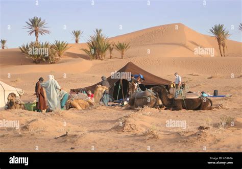 Camping in the Dunes. Camel trek in the Sahara Desert near Zagora in ...