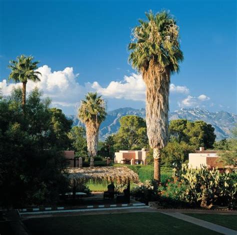 Arizona Inn Tucson , Arizona, United States - Reservations.com