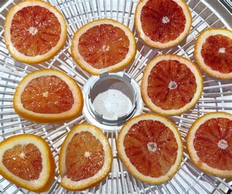 Dehydrated Oranges - Dehydrator or Oven - EmilyFabulous