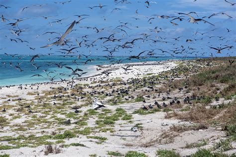 Lihou Reef Atoll - Cruising The Edge