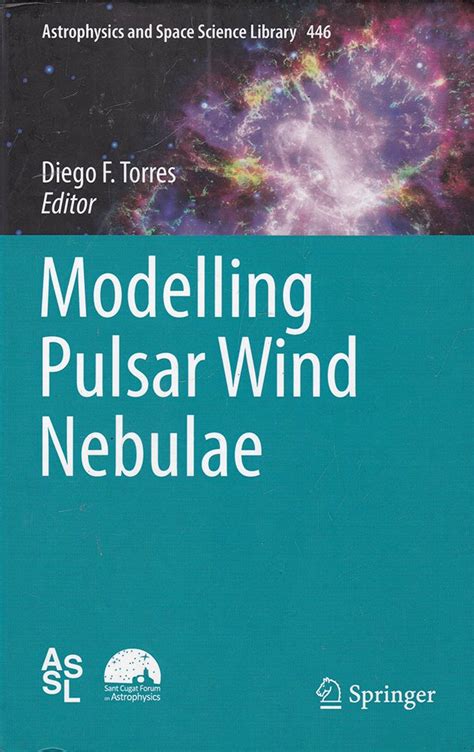 Modelling Pulsar Wind Nebulae