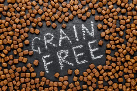 Update on Grain-Free Dog Food and Heart Disease | Oakland Veterinary ...