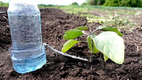 Plastic Bottle Drip Water Irrigation System Very Simple Easy#4 ll DIY ...