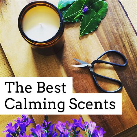 My Favourite Relaxing and Calming Scents