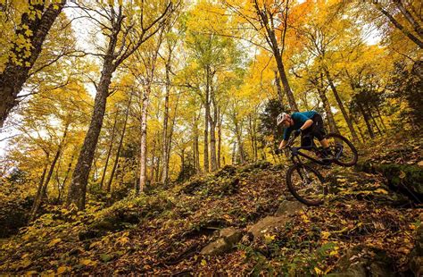 How to Find The World's Best Mountain Bike Trails | ReviewThis