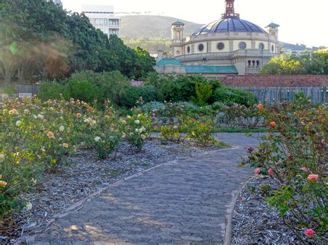 Gardens Cape Town South Africa Kirstenbosch Botanical Gardens - The Art ...