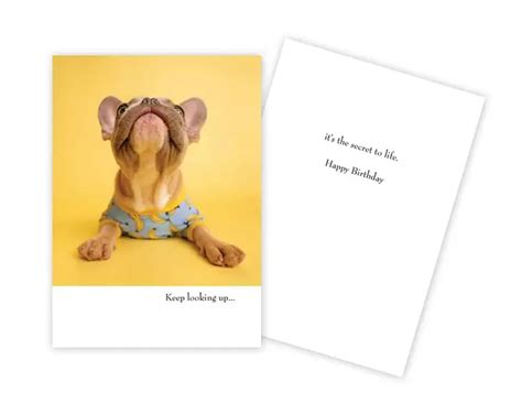 Dog Funny Birthday Card Sun Day Greetings | Jenny K.