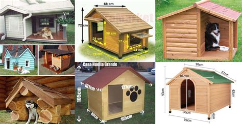 Dog House Design Idea And Dimensions - Engineering Discoveries