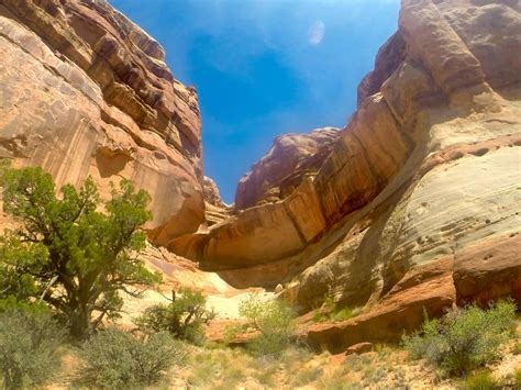 The Maze District, Canyonlands NP, Utah : r/gopro