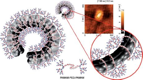 Changing of the conformation of a carbon nanotube by non-covalent ...