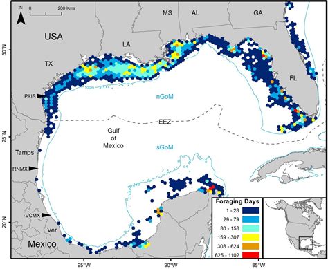 Sea Turtle Migration - All Turtles