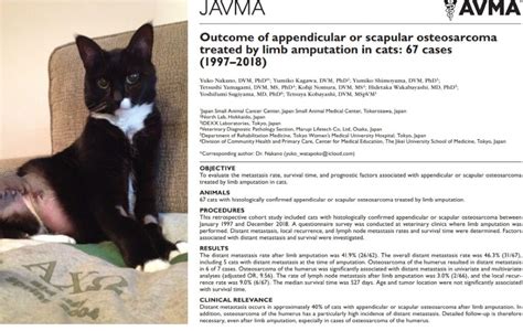 Osteosarcoma Metastasis in Cats Not So Rare After All - Tripawds