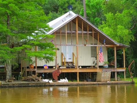 Snakes and Gators on a Louisiana Swamp Tour