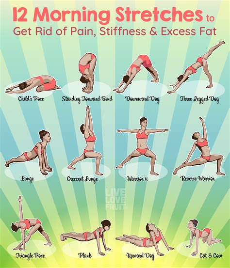 This What Is Flexibility Exercise Examples For Everyday - Cardio ...