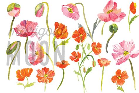 Watercolor Poppies Floral Clipart Digital Download Red, Orange, Yellow ...