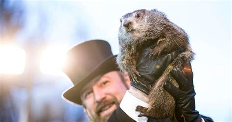 Groundhog Day 2022: Did Punxsutawney Phil See His Shadow?