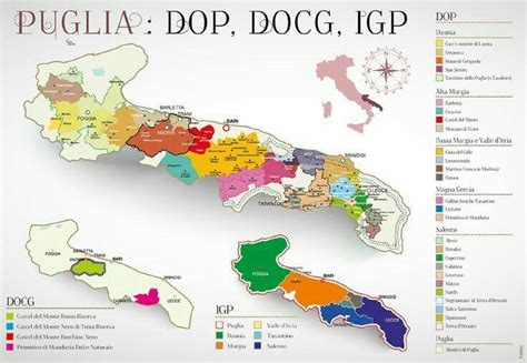 Puglia wine region map Italy | Винная карта, Итальянское вино, Апулия