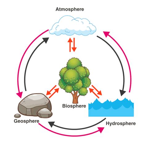 What is Biosphere? - Definition, Resources with Examples & Images