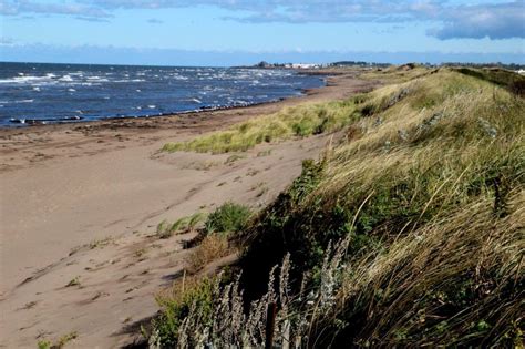 The Charms of Shediac: Part 1 — FEAST: An Edible Road Trip