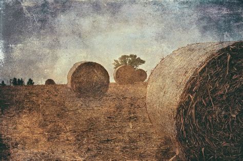 Hay bales - null | Hay bales, Baling, Hays