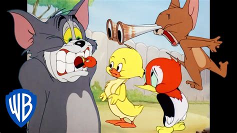 Tom & Jerry | Animal Kingdom | Classic Cartoon Compilation | WB Kids ...