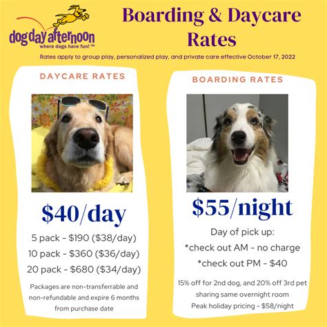 Doggie Daycare in Orlando, FL – Dog Day Afternoon