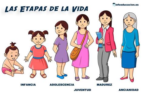 Pin de Karina en trabajos | Etapas del desarrollo humano, Etapa de la ...