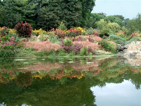 Bonython Estate Gardens - The Great Gardens of Cornwall