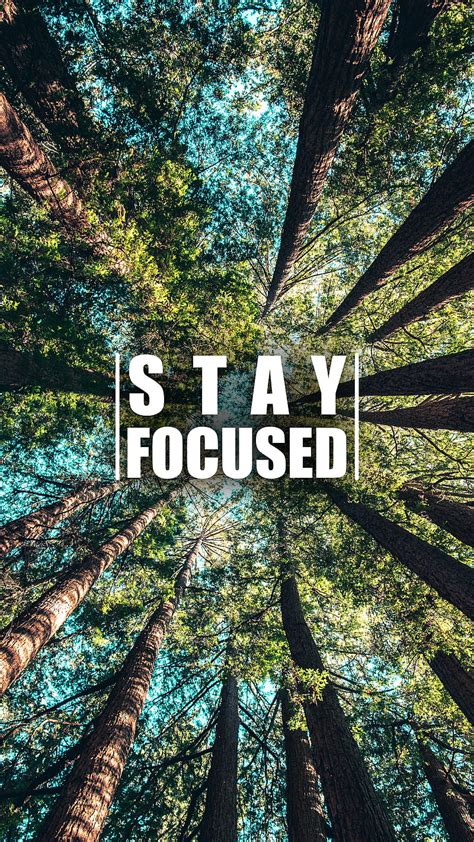 Focus Wallpaper