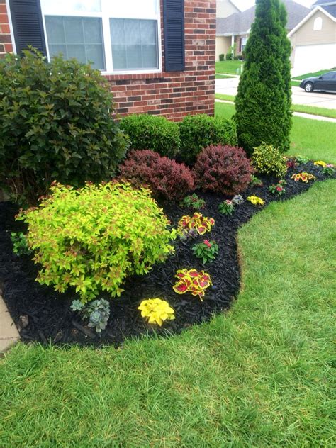 Beautiful flowerbed! Black Mulch made a big difference! | My Yard ...