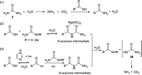 Amides May Be Prepared by Which of the Following Methods