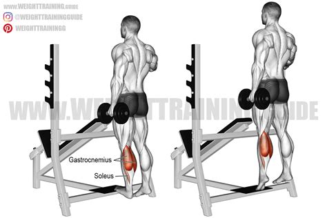 Standing dumbbell one-leg calf raise exercise instructions and video