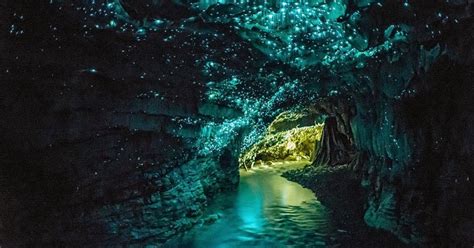 Waitomo Glowworm Caves, New Zealand