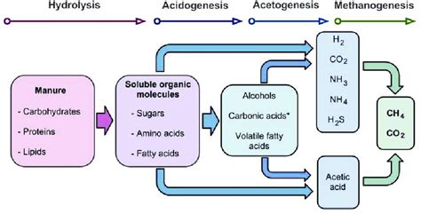 Anaerobic Digestion Flow Chart