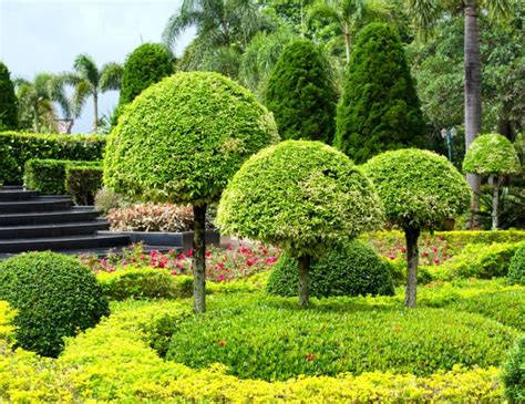 53 Stunning Topiary Trees, Gardens, Plants and Other Shapes | Topiary ...