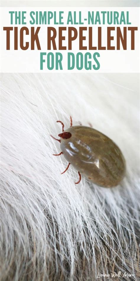 The Simple All-Natural Tick Repellent for Dogs {with Video!}