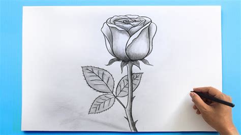 How To Sketch Rose Flower | Best Flower Site