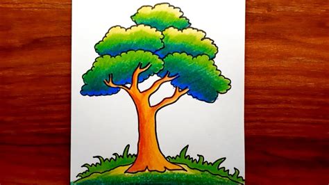 Tree Drawing With Color For Kids