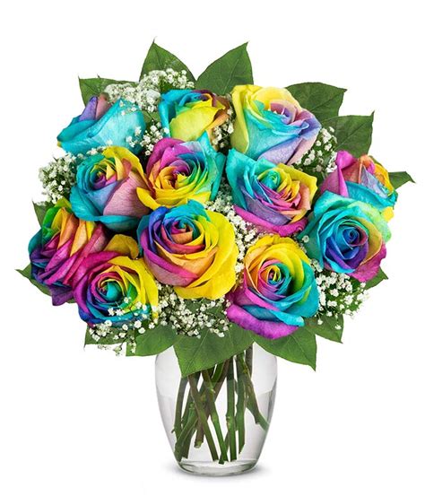 One Dozen Wild Rainbow Roses at From You Flowers