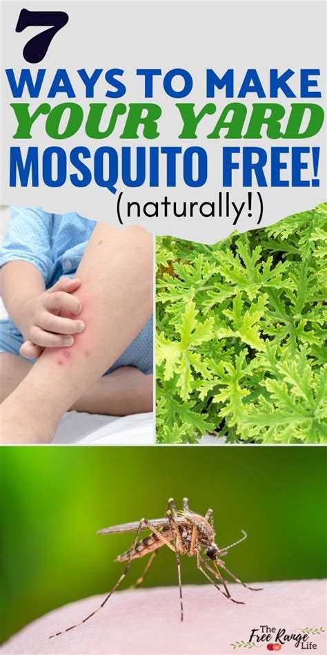 It's getting warmer-which means it's mosquito season! Are you tired of ...