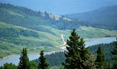 Cypress Hills - Alberta Wilderness Association