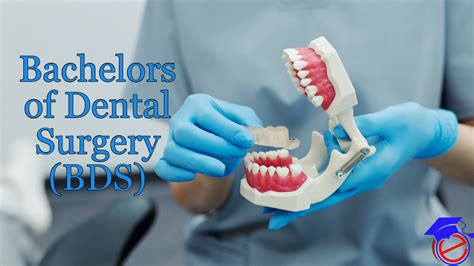 BDS (Bachelor of Dental Surgery) - Course, Streams, Fees, Career