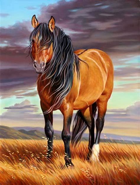 Historia y evolución de la pintura artística : Dibujos de caballos en ...