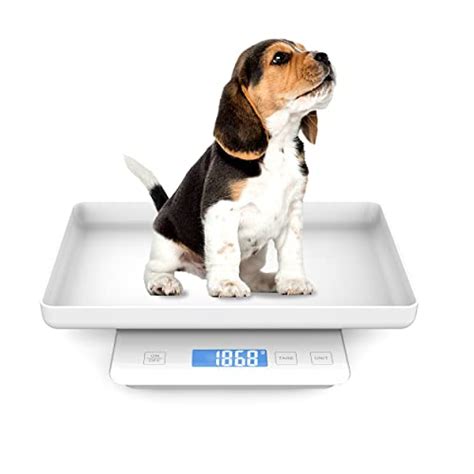 Best Pet Scale For Cats