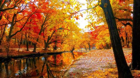 Autumn Trees Wallpapers - Wallpaper Cave