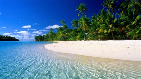 maldives-beaches - True Blue Travel