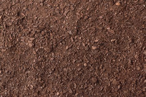 Soil texture detail for gardening | Nature Stock Photos ~ Creative Market