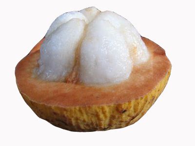 The Health Benefits of Santol Fruit | Health Benefits