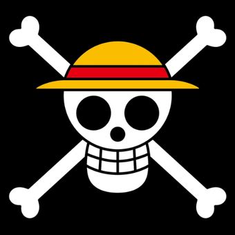 Jolly Roger | One Piece Wiki | Fandom | One piece logo, Jolly roger ...